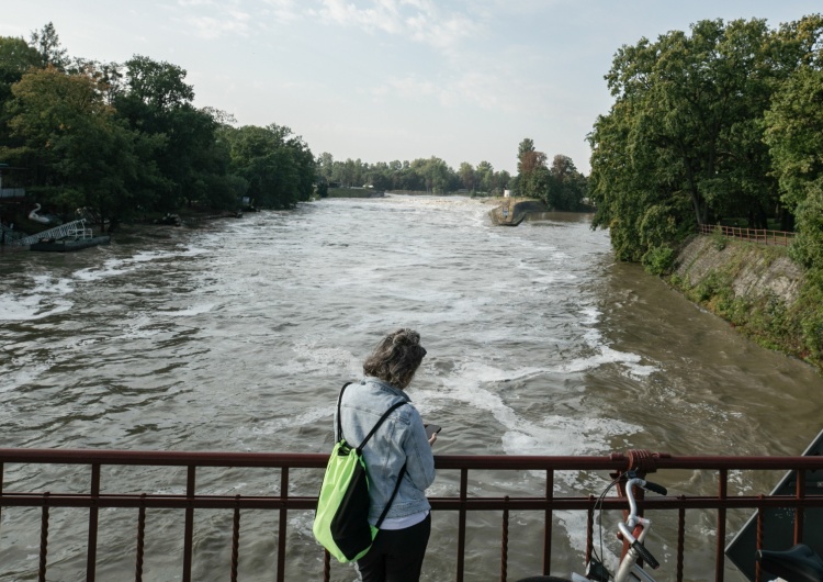 ODra Co z poziomem wody we Wrocławiu? Jest komunikat IMGW 