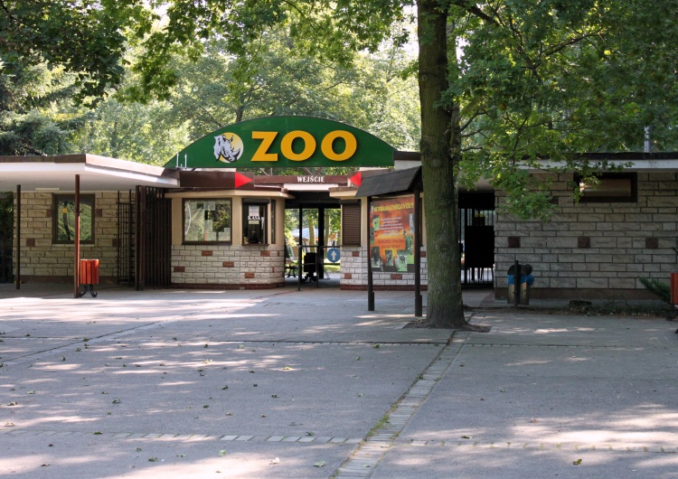 Zoo w Poznaniu 