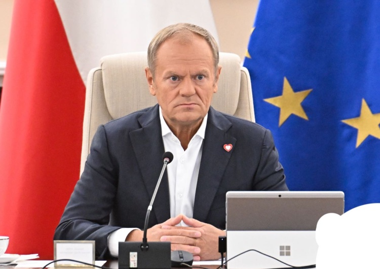 Donald Tusk Tusk obiecał amnestię dla bobrów