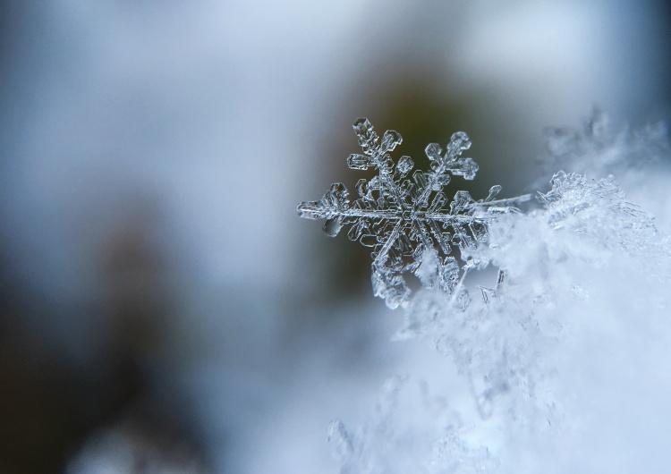 śnieg Spadł pierwszy jesienny śnieg