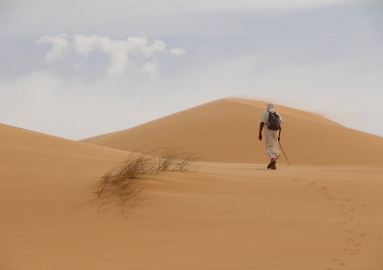 Afryka. Pustynia. Zdjęcie poglądowe Nie Chiny, tylko Zjednoczone Emiraty Arabskie kupują Afrykę