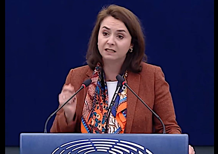 Kamila Gasiuk-Pihowicz Histeryczne wystąpienie Kamili Gasiuk-Pihowicz w Parlamencie Europejskim w obronie cenzury w internecie