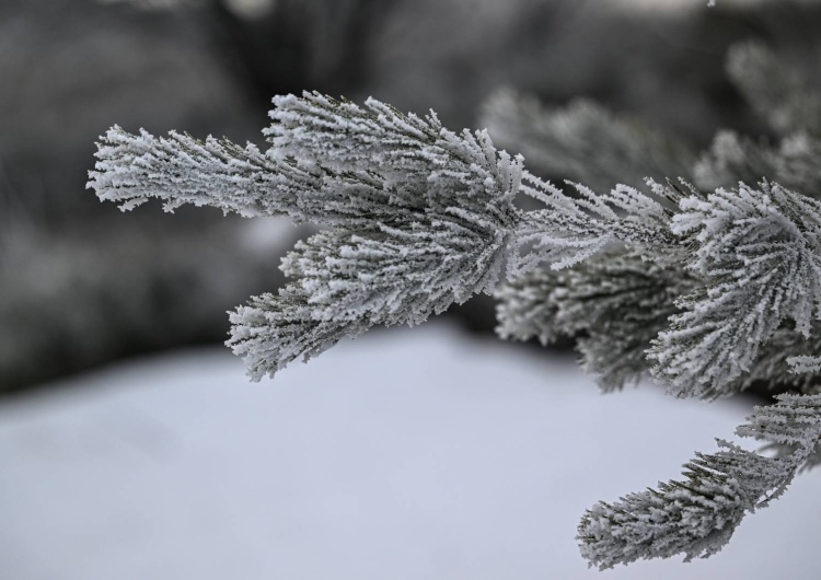 Bieszczady, zima, zdjęcie poglądowe Nagła zmiana pogody w Polsce. Czekają nas siarczyste mrozy