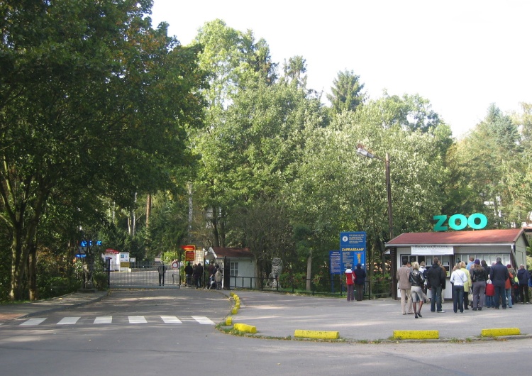 Gdańskie zoo - wejście 