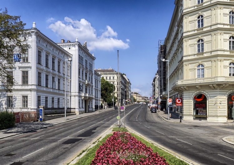 Miasto, chodnik, zieleń, zdjęcie podglądowe Warszawa: 