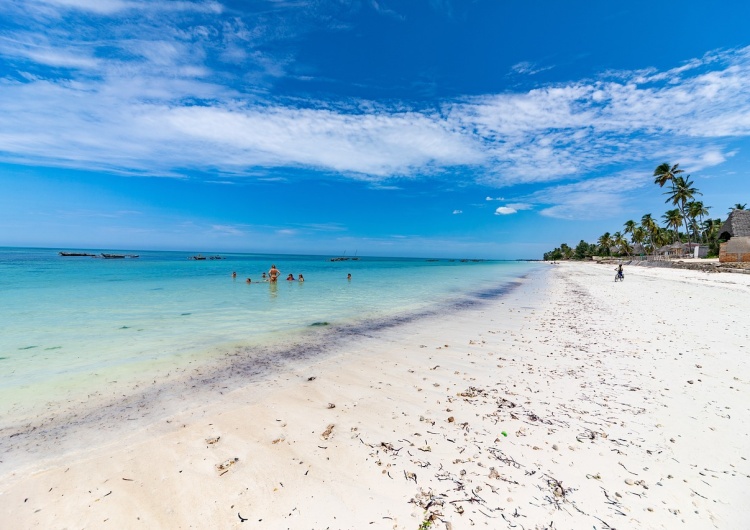 Zanzibar Idealne miejsce na wakacje? Ta wyspa zachwyca turystów nie od dziś