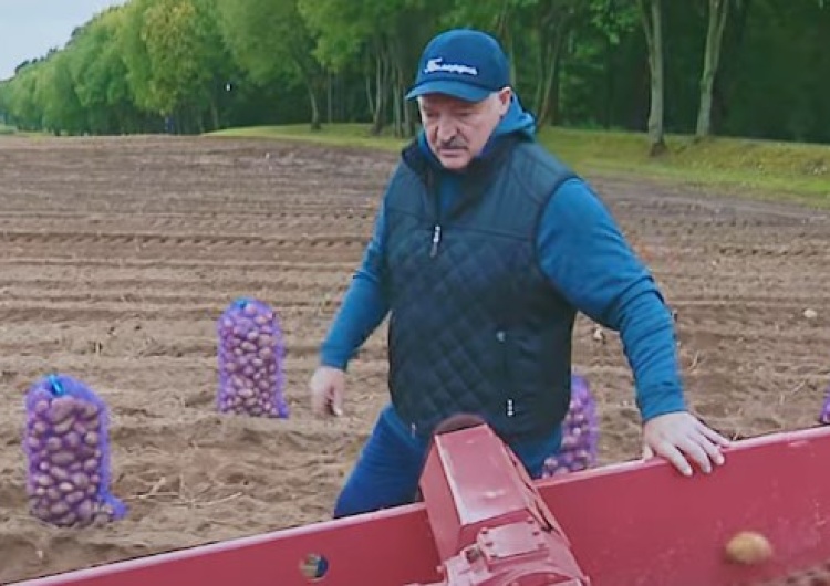  „Ziemniak dance”. Łukaszenka wziął udział w teledysku nastoletniej białoruskiej gwiazdy