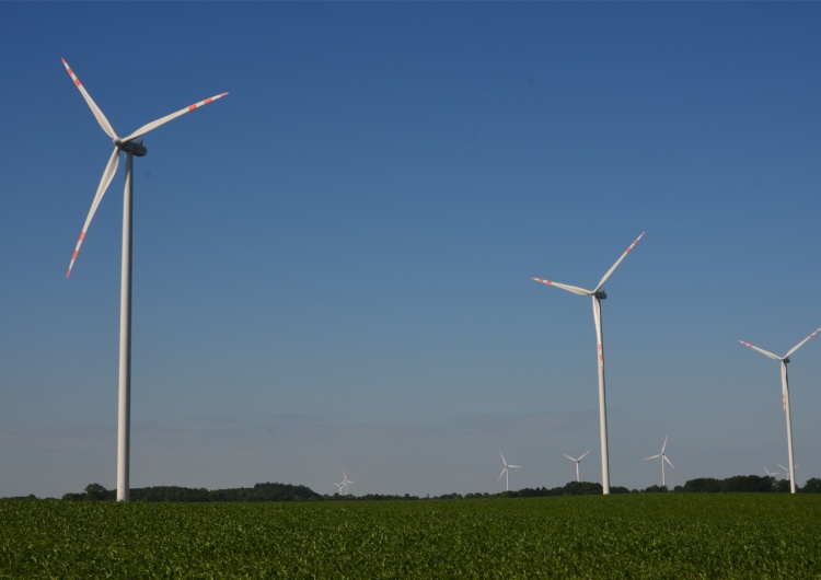  PGE umacnia się na pozycji zielonego lidera