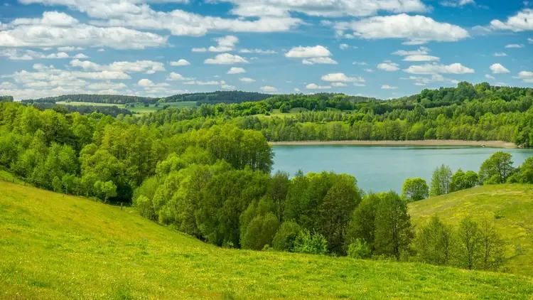jezioro otoczone lasem