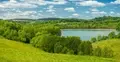 jezioro otoczone lasem