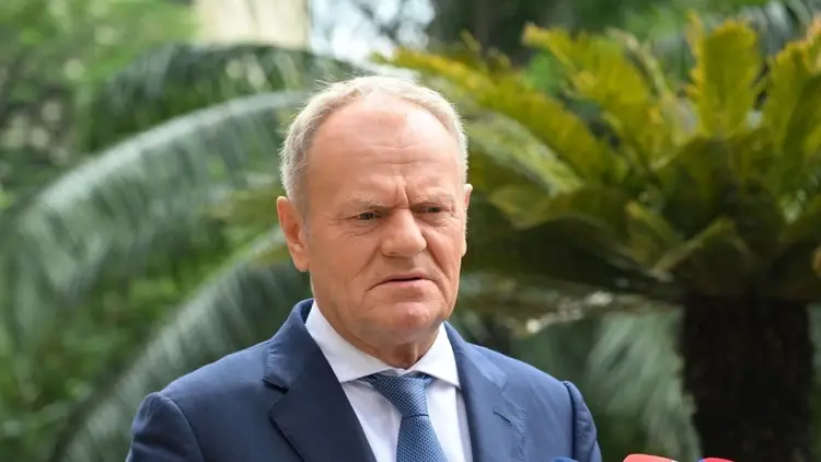 donald tusk pod palmą