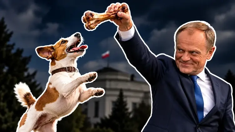 Donald Tusk z kością i pies