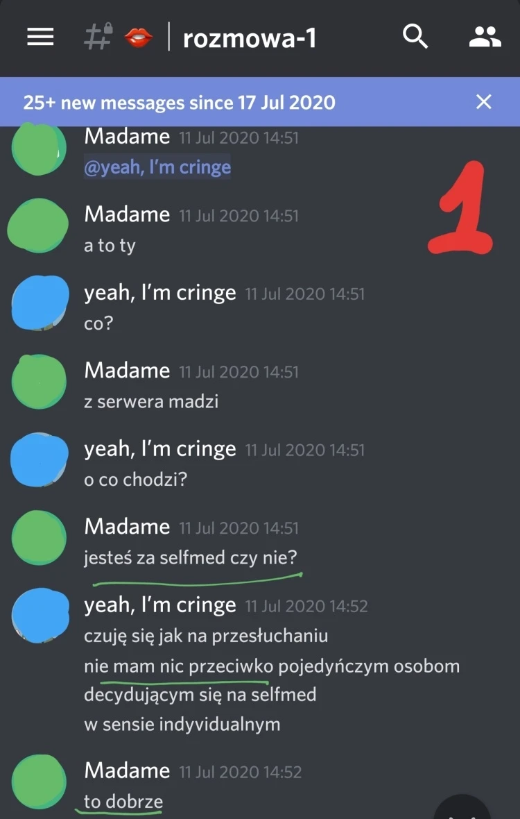 Tajne czaty transaktywistów screen 6