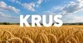 KRUS - ilustracja podglądowa
