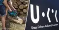 Mężczyzna przecina drewno pilarką łańcuchową, obok logo UOKiK – urzędu, który zakwestionował 7 z 10 skontrolowanych modeli pilarek.