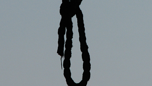 Stryczek. Ilustracja poglądowa