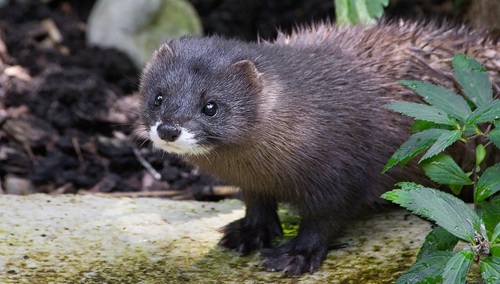 Zdjęcie ilustracyjne