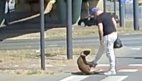 Nagranie udostępnione przez kierowcę autobusu