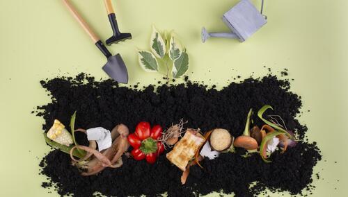 Kompost. Ilustracja poglądowa