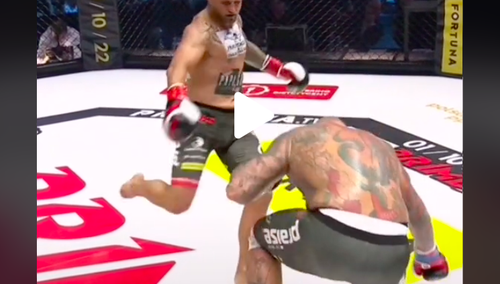 Ochroniarz "Oszusta z Tindera" na kolanach. Wrzosek był bezlitosny [WIDEO]