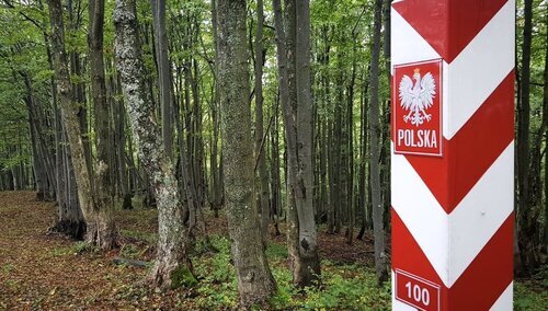 OI: Polska przestrzega prawa międzynarodowego. Analiza aktualnej sytuacji na granicy polsko-białoruskiej