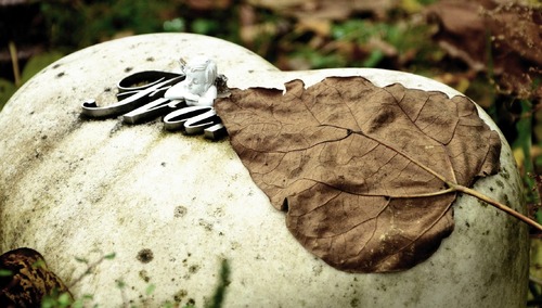 Francja: Dzieci zmarłe w wyniku poronienia będą posiadały nazwisko