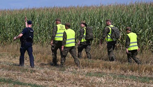 Służby zabiezpieczają teren pola kukurydzy w miejscowości Osiny