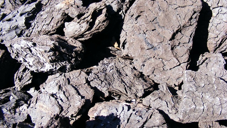 węgiel brunatny