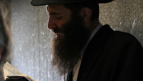 Rabin, zdjęcie ilustracyjne