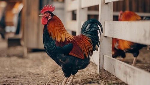 Zdjęcie ilustracyjne