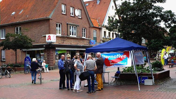 Stoisko AfD, Niemcy