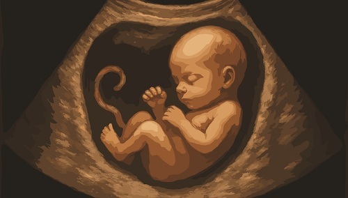 Dziecko w łonie matki