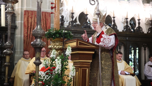abp Marek Jędraszewski