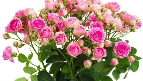 Piotr Duda: Aby ta okrutna wojna natychmiast została przerwana