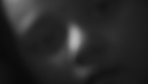 ks. Janusz Chyła do PiS: Prawa zwierząt? Kiedy zajmiecie się humanitarnym traktowaniem poczętych?