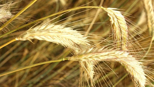 "Przestajemy się wstydzić tego, co polskie. Mamy więcej odwagi i coraz mniej kompleksów"