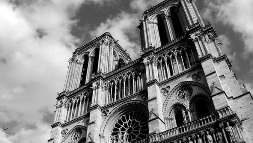 Katedra Notre Dame