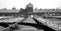 Brama KL Auschwitz