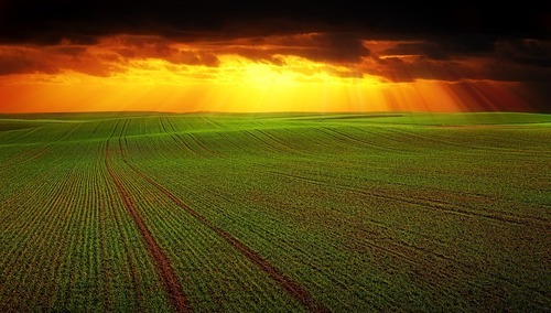 Rolnictwo. Ilustracja poglądowa