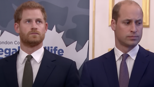 Książę Harry i książę William