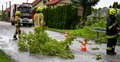 Interwencja straży pożarnej w Żurawicy