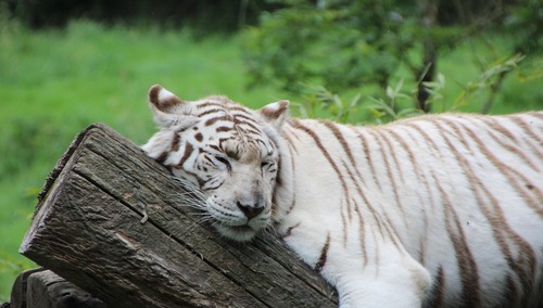 zdjęcie ilustracyjne