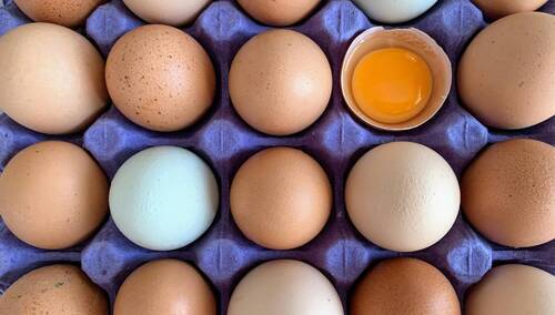 Paleta jaj - zdjęcie ilustracyjne