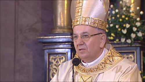 abp Stanisław Budzik