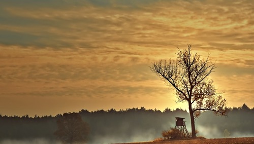 Śmierć 56-latka podczas polowania. Myśliwy postrzelił myśliwego