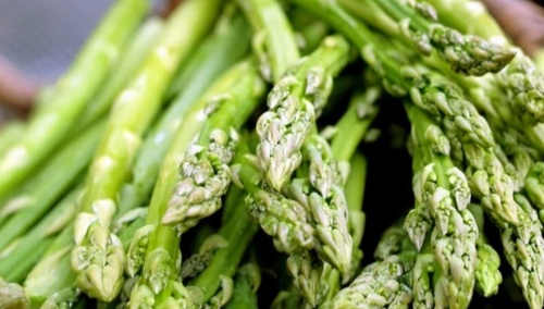 Niemieckie media: Dla Polaków praca przy zbiorach szparagów nie jest już opłacalna