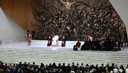 Papieska audiencja generalna w Watykanie