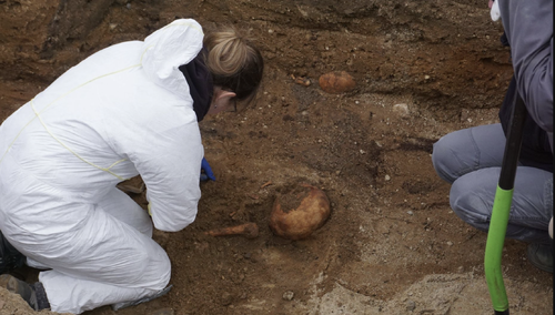 Prace ekshumacyjne specjalistów IPN