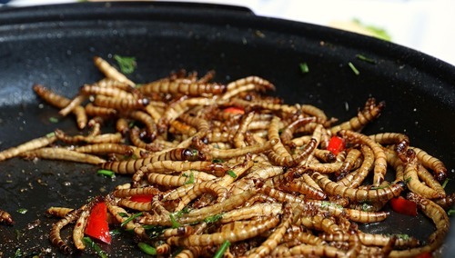 zdjęcie ilustracyjne