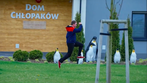 kard z filmu "Siostry z Broniszewic"